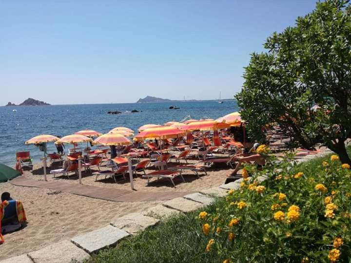 Marina'S Apartment Ogliastra Lotzorai Luaran gambar