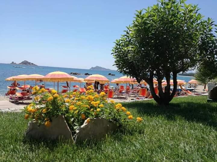 Marina'S Apartment Ogliastra Lotzorai Luaran gambar